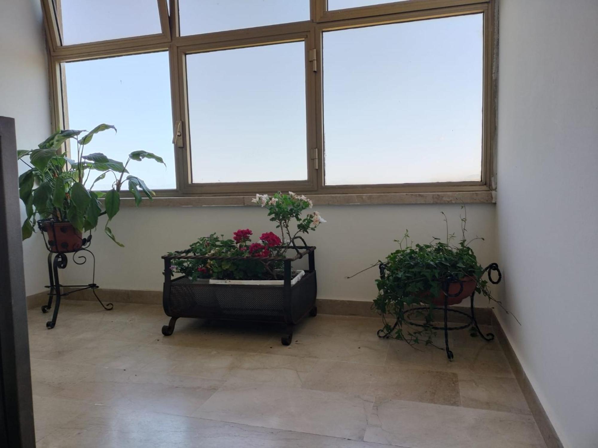 D&P Suites 1 Salemi מראה חיצוני תמונה